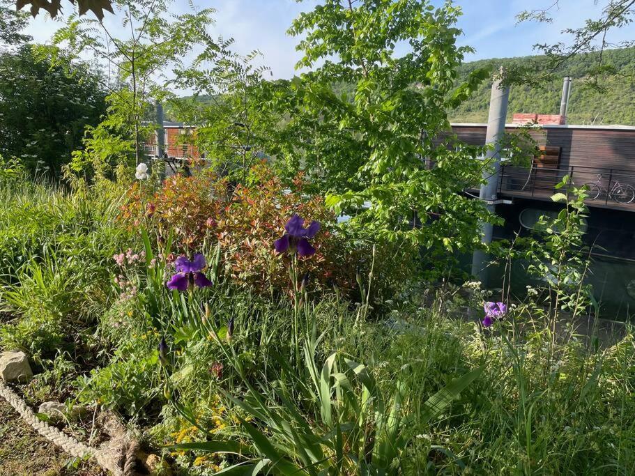 Maison Fleurs De Lys, Climatisee, Wifi Et Parking Privee Gratuit, Lave-Linge, Vernon Giverny 외부 사진